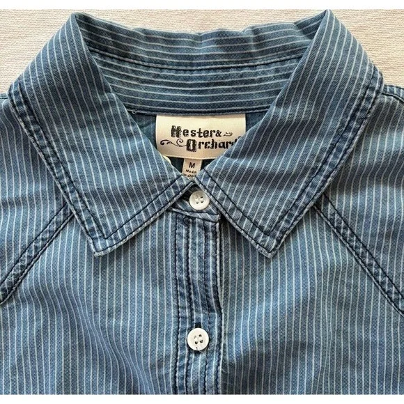Hester Orchard Shirt Blue Stripe Tencel Western Button Down Sz Med NWT Farmcore - Picture 3 of 12